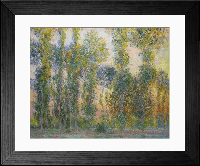 Framed Print : Poplars at Giverny, 1887. Artist: Monet, Claude (1840-1926) Framed Print : Poplars at Giverny, 1887. Artist: Monet, Claude (1840-1926)