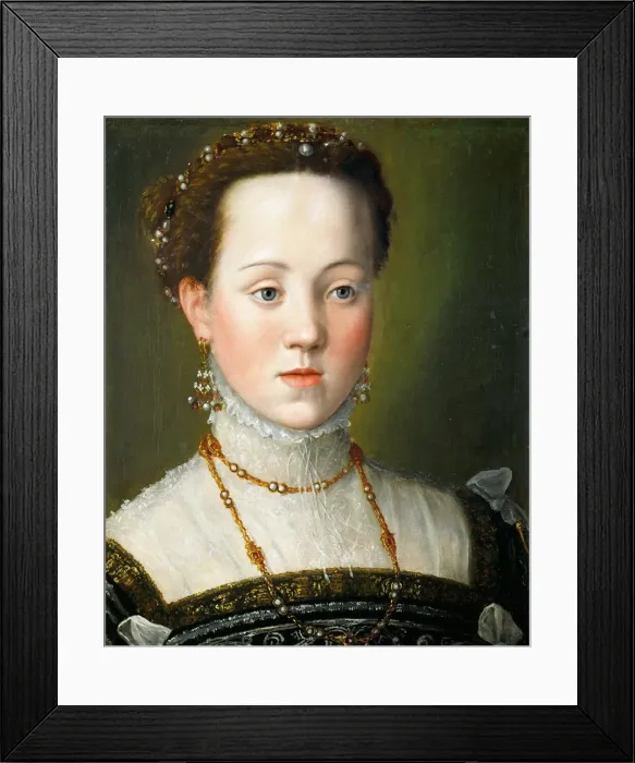 Framed Print : Archduchess Anna of Austria (1549-1580), Queen of Spain, ca 1563. Artist: Arcimboldo, Giuseppe (1527-1593) Framed Print : Archduchess Anna of Austria (1549-1580), Queen of Spain, ca 1563. Artist: Arcimboldo, Giuseppe (1527-1593)