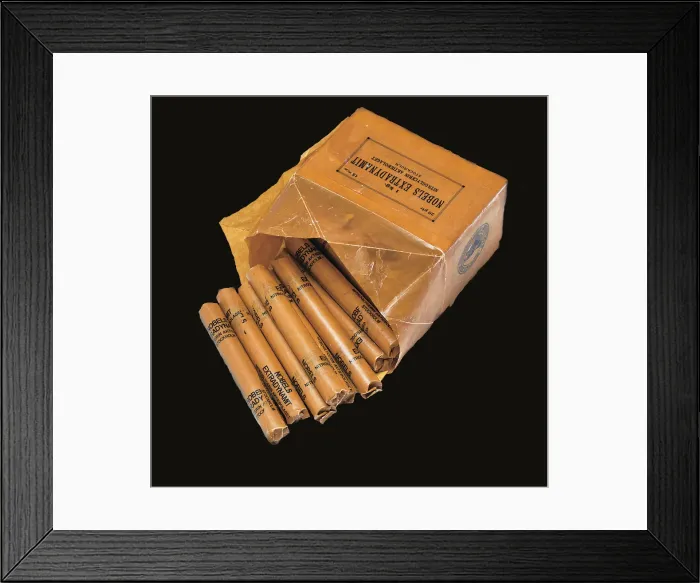 Framed Print : The Nobels Extradynamit. Artist: Historic Object Framed Print : The Nobels Extradynamit. Artist: Historic Object