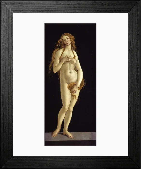 Framed Print : Venus, 1490 Framed Print : Venus, 1490