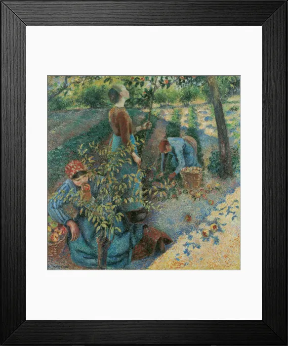 Framed Print : Apple Picking, 1886 Framed Print : Apple Picking, 1886