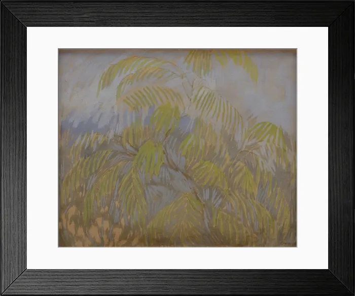Framed Print : Mimosa, 1909 Framed Print : Mimosa, 1909