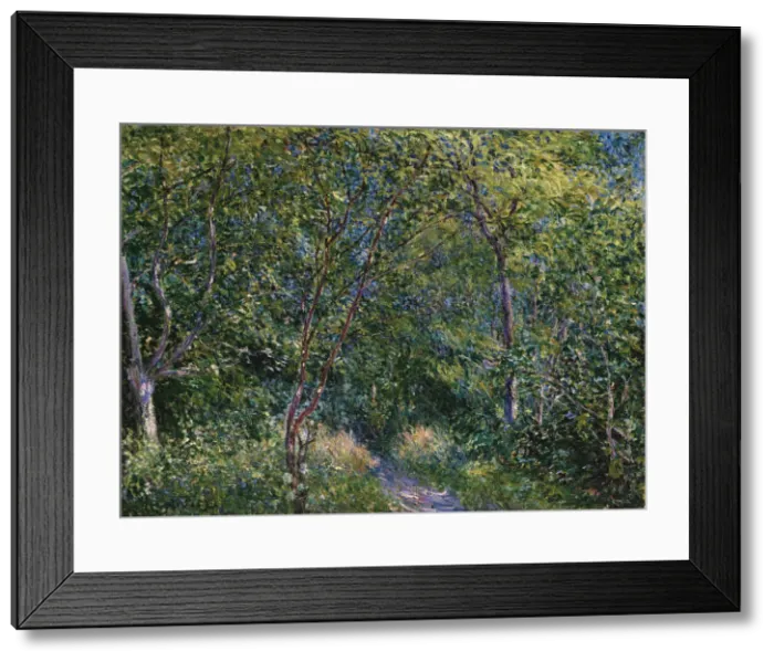 Framed Print : Sous-Bois. Private Collection Framed Print : Sous-Bois. Private Collection