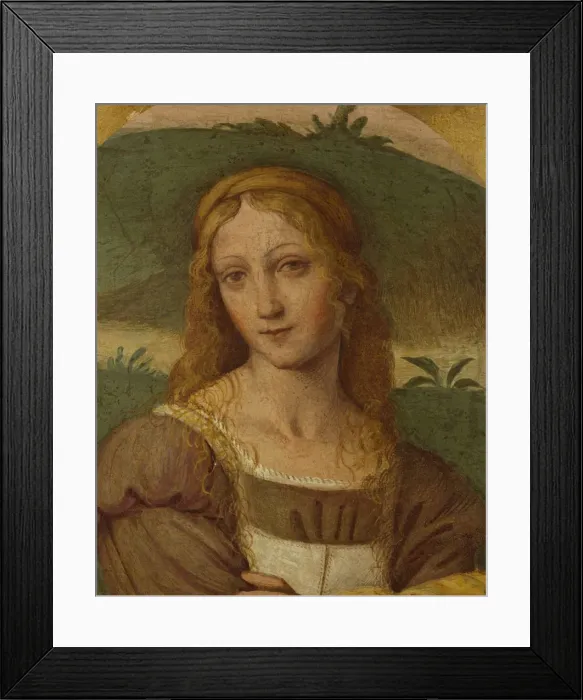Framed Print : Female figure Framed Print : Female figure