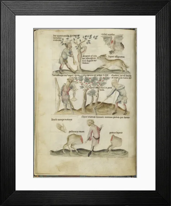 Framed Print : Liber Astrologiae Framed Print : Liber Astrologiae