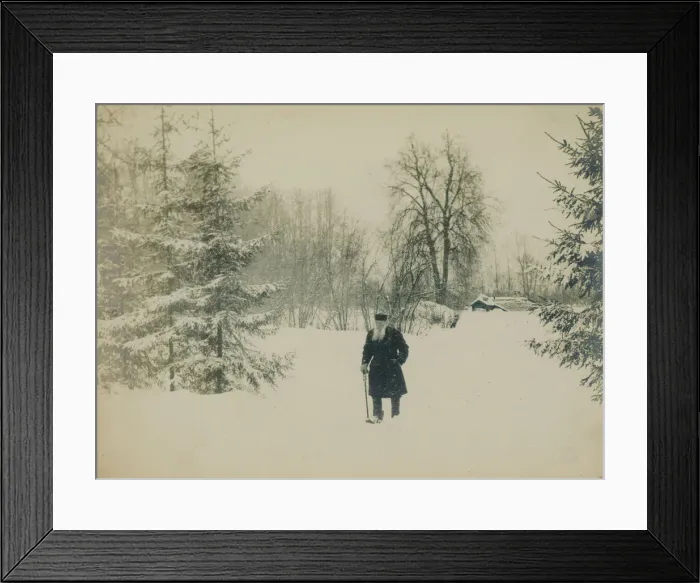 Framed Print : Count Lev Nikolayevich Tolstoy walking Framed Print : Count Lev Nikolayevich Tolstoy walking