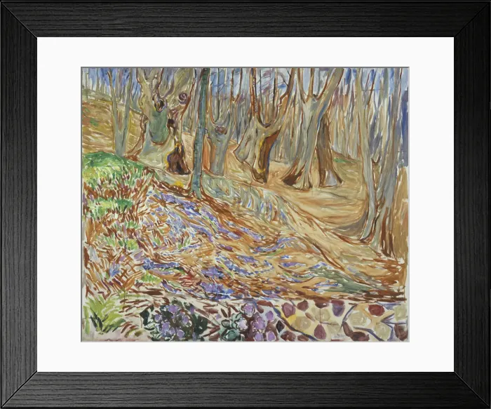 Framed Print : Spring in the Elm Forest Framed Print : Spring in the Elm Forest