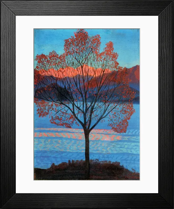 Framed Print : Landscape at the First Rays of Sun Framed Print : Landscape at the First Rays of Sun