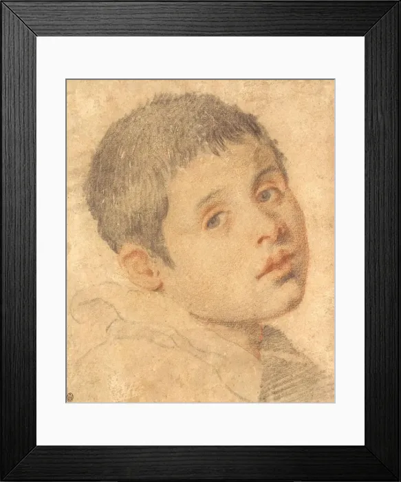 Framed Print : Head of a Boy Framed Print : Head of a Boy