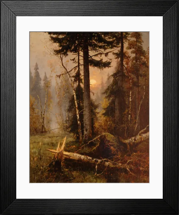 Framed Print : Forest Thicket Framed Print : Forest Thicket