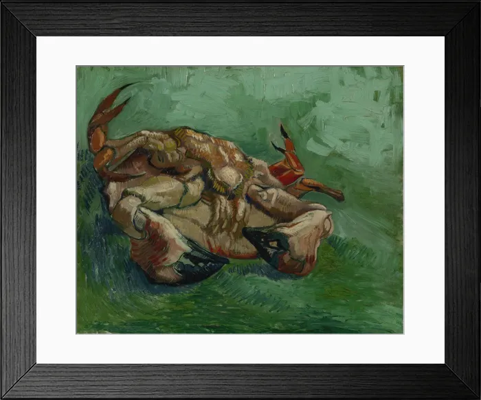 Framed Print : A Crab on its Back Framed Print : A Crab on its Back