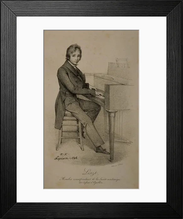 Framed Print : Portrait of the composer Franz Liszt (1811-1886) Framed Print : Portrait of the composer Franz Liszt (1811-1886)