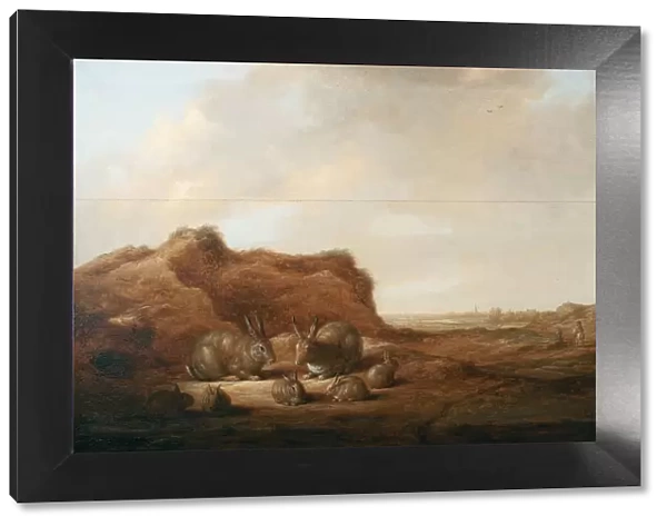 Landscape with rabbits