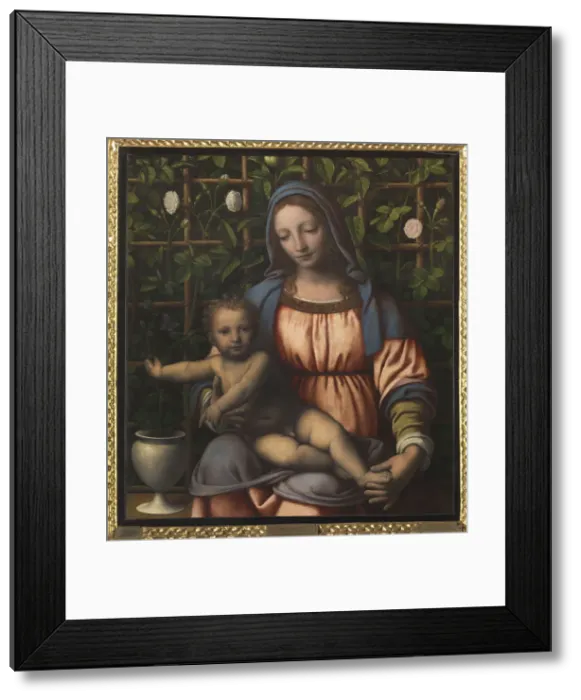 Framed Print : The Madonna of the Rose Garden (Madonna del Roseto) Framed Print : The Madonna of the Rose Garden (Madonna del Roseto)