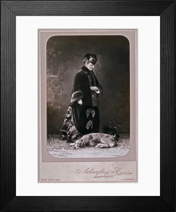Framed Print : Princess Ekaterina Mikhailovna Dolgorukova (1847-1922), 1870s. Artist: Levitsky, Sergei Lvovich (1819-1898) Framed Print : Princess Ekaterina Mikhailovna Dolgorukova (1847-1922), 1870s. Artist: Levitsky, Sergei Lvovich (1819-1898)