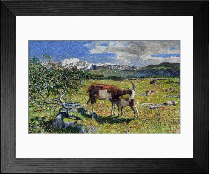 Framed Print : May in the Alps Framed Print : May in the Alps