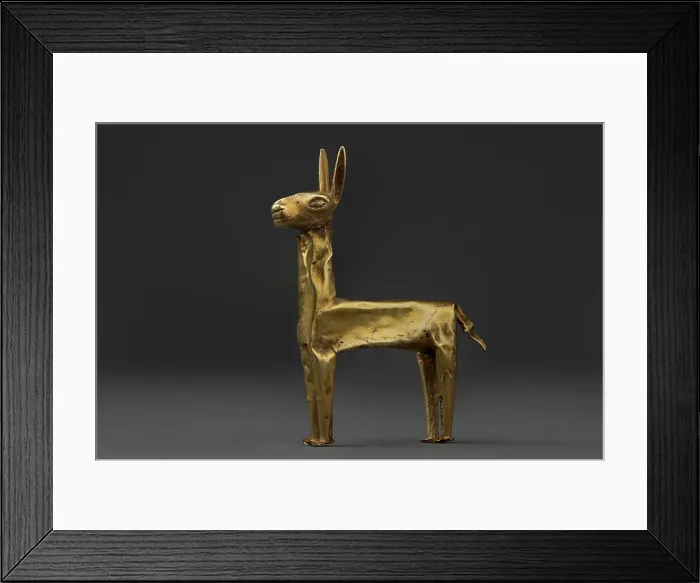 Framed Print : Gold Llama Framed Print : Gold Llama