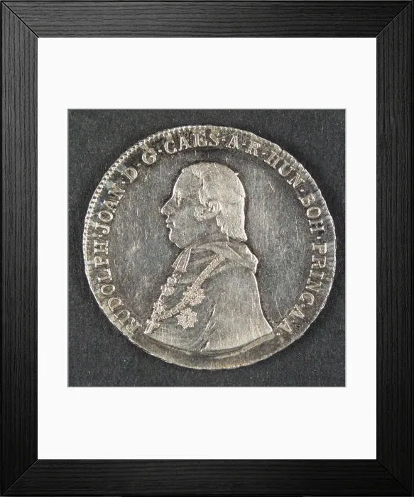 Framed Print : The Slovak thaler of the enthronement of Archduke Rudolph as Archbishop Framed Print : The Slovak thaler of the enthronement of Archduke Rudolph as Archbishop