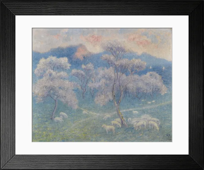 Framed Print : Sheeps and almond blossoms Framed Print : Sheeps and almond blossoms