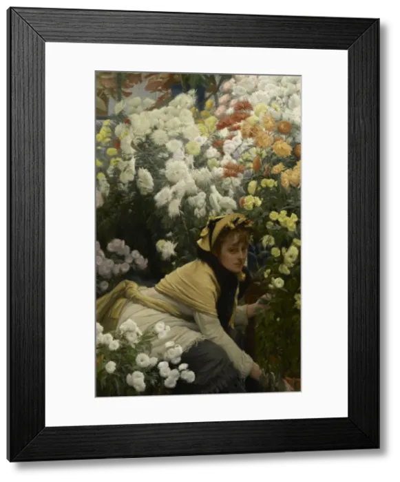 Framed Print : Chrysanthemums, c. 1875 Framed Print : Chrysanthemums, c. 1875