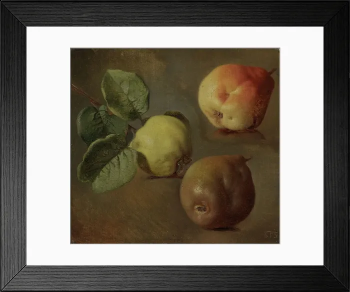 Framed Print : Quince, 1853 Framed Print : Quince, 1853