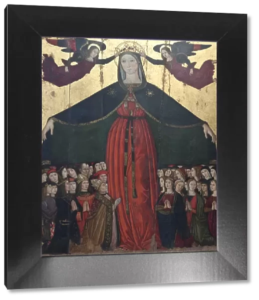 Madonna della Misericordia (Madonna of Mercy), c. 1500
