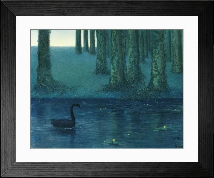 Framed Print : The black swan Framed Print : The black swan