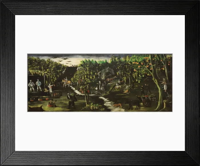 Framed Print : Harvesting grapes Framed Print : Harvesting grapes