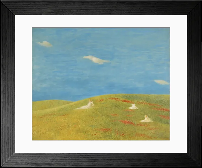 Framed Print : Meadow. Private Collection Framed Print : Meadow. Private Collection