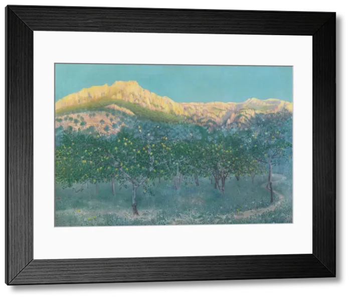 Framed Print : Lemon trees, Mallorca Framed Print : Lemon trees, Mallorca