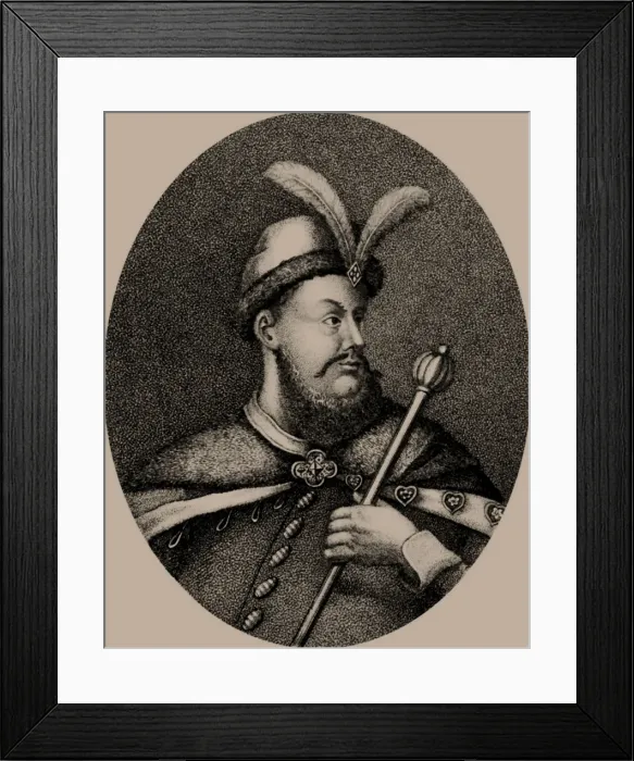 Framed Print : Petro Doroshenko (1627-1698), Hetman of Right-bank Ukraine, 17th century Framed Print : Petro Doroshenko (1627-1698), Hetman of Right-bank Ukraine, 17th century
