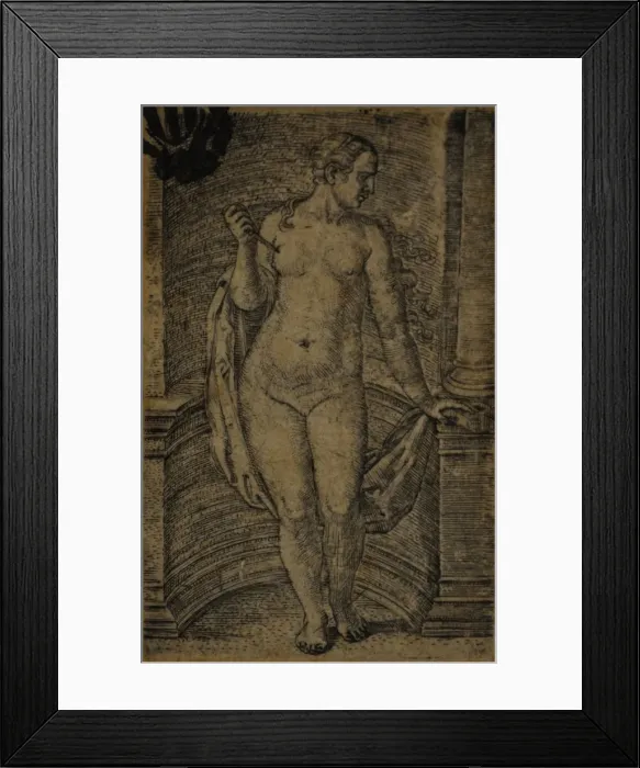 Framed Print : Lucretia, ca 1530 Framed Print : Lucretia, ca 1530