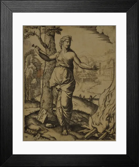 Framed Print : The Death of Dido, ca 1510-1511 Framed Print : The Death of Dido, ca 1510-1511