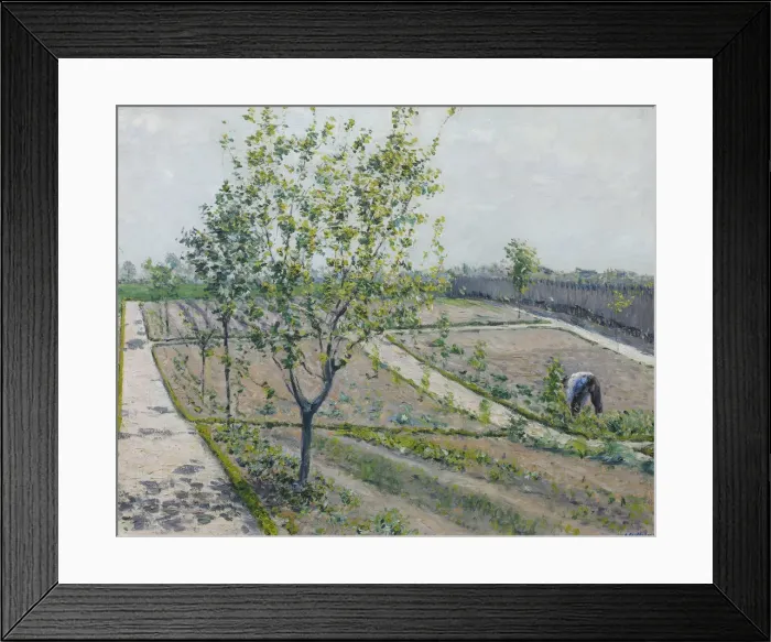 Framed Print : Kitchen Garden, Petit Gennevilliers, 1881-1882 Framed Print : Kitchen Garden, Petit Gennevilliers, 1881-1882