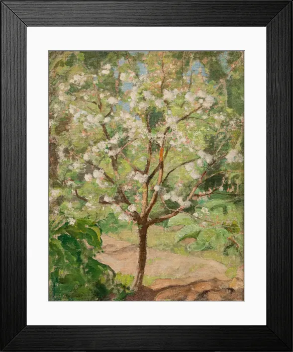 Framed Print : Blooming apple tree, 1924 Framed Print : Blooming apple tree, 1924