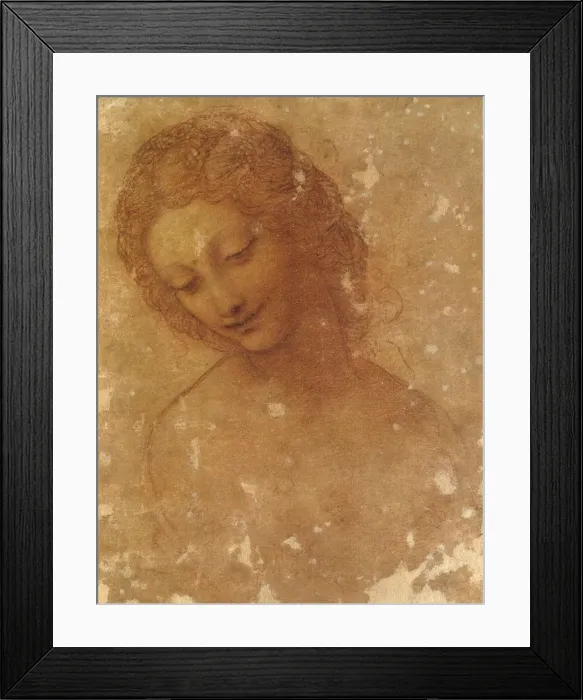 Framed Print : Head of Leda, c. 1510 Framed Print : Head of Leda, c. 1510