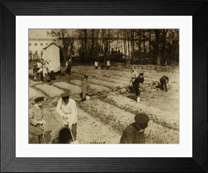 Framed Print : Tsar Nicholas II and family gardening at Alexander Palace during internment at Tsarskoye Selo, 1917 Framed Print : Tsar Nicholas II and family gardening at Alexander Palace during internment at Tsarskoye Selo, 1917