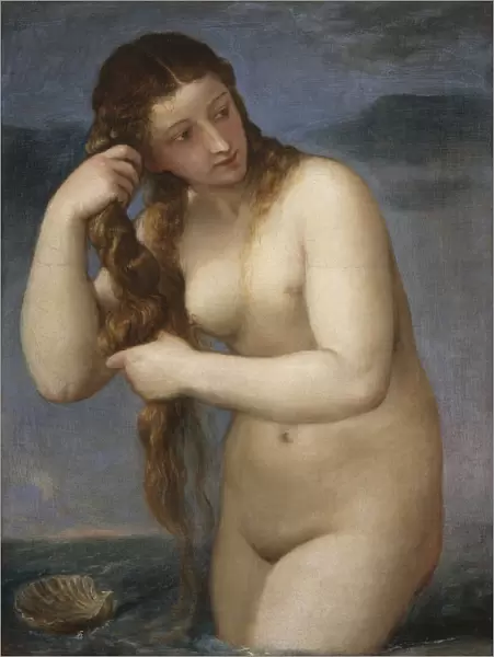 Venus Rising from the Sea (Venus Anadyomene), 1520