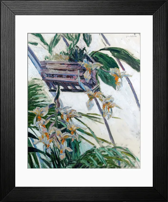 Framed Print : Orchids, 1893 Framed Print : Orchids, 1893