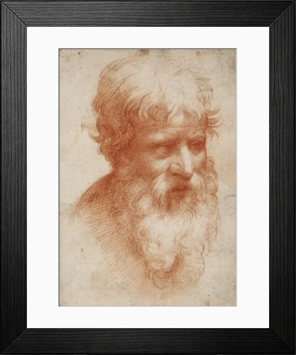 Framed Print : Bearded mans head, c. 1525 Framed Print : Bearded mans head, c. 1525