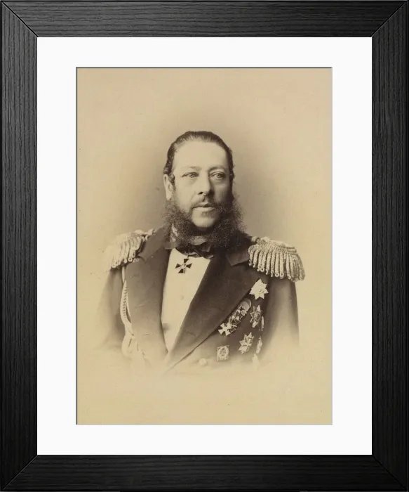 Framed Print : Portrait of Admiral Nikolay Karlovich Krabbe (1814-1876), 1873 Framed Print : Portrait of Admiral Nikolay Karlovich Krabbe (1814-1876), 1873