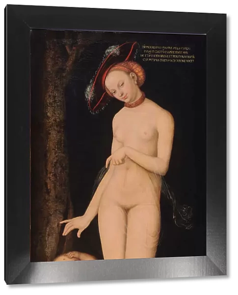 Venus with Cupid the Honey Thief, 1531