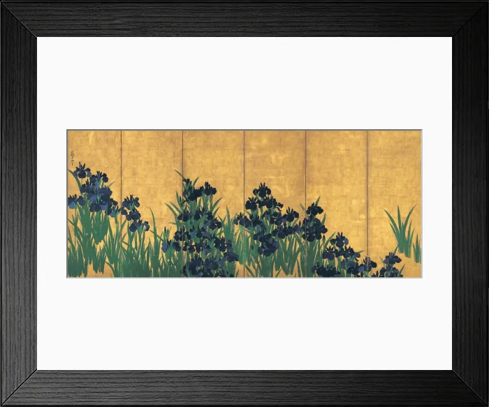 Framed Print : Irises, 18th century Framed Print : Irises, 18th century