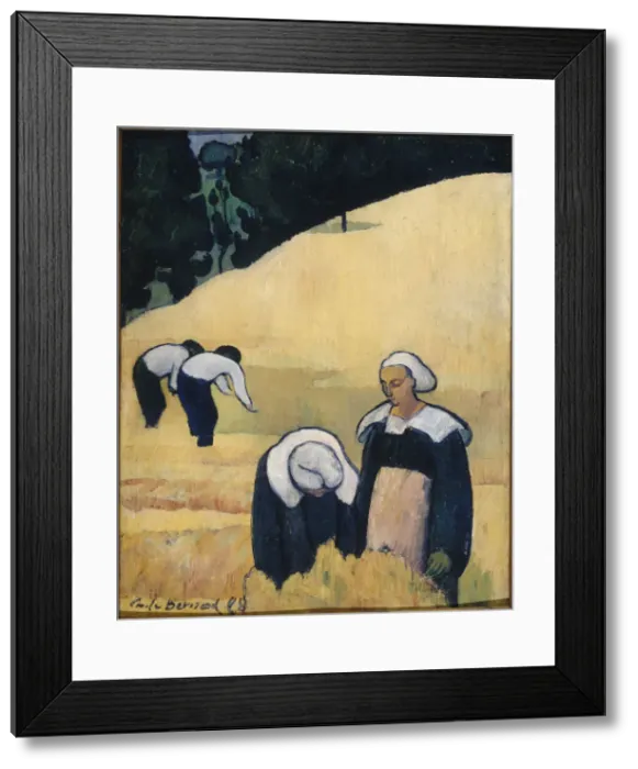 Framed Print : The Harvest Framed Print : The Harvest