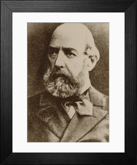 Framed Print : Alexander Ivanovich Palm (1822-1885), 1860s Framed Print : Alexander Ivanovich Palm (1822-1885), 1860s