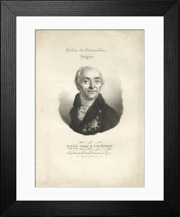 Framed Print : Bernard-Germain-Etienne de la Ville-sur-Illon, comte de Lacepede (1756-1815), 1842 Framed Print : Bernard-Germain-Etienne de la Ville-sur-Illon, comte de Lacepede (1756-1815), 1842