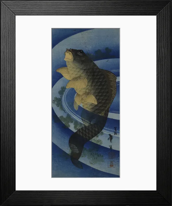 Framed Print : Carp (Koi), c. 1830-1840 Framed Print : Carp (Koi), c. 1830-1840
