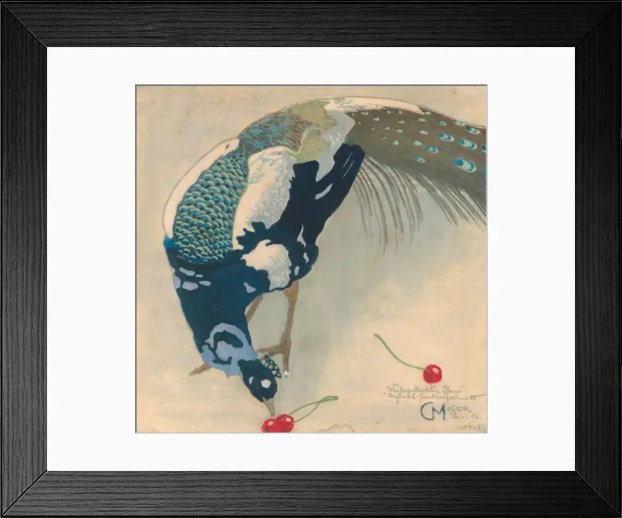 Framed Print : White-Spotted Peacock, 1906 Framed Print : White-Spotted Peacock, 1906