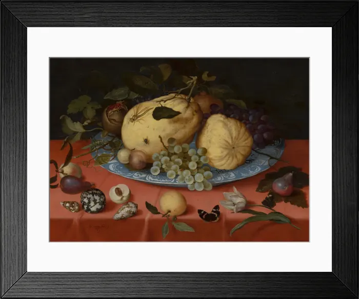 Framed Print : Fruit Still Life with Shells and Tulip, 1620 Framed Print : Fruit Still Life with Shells and Tulip, 1620