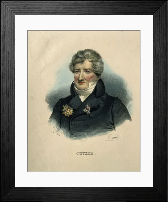 Framed Print : Georges Leopold Chretien Frederic Dagobert, Baron de Cuvier (1769-1832) Framed Print : Georges Leopold Chretien Frederic Dagobert, Baron de Cuvier (1769-1832)